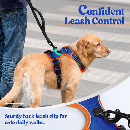 Rabbitgoo Multicolored No Pull Dog Harness - Orange & Blue