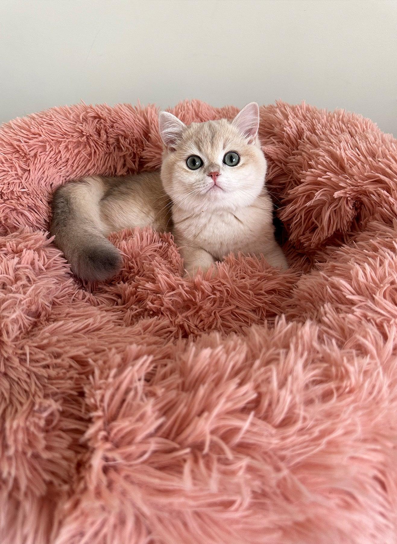 Floof Calming 24'' Pet Bed - Pink