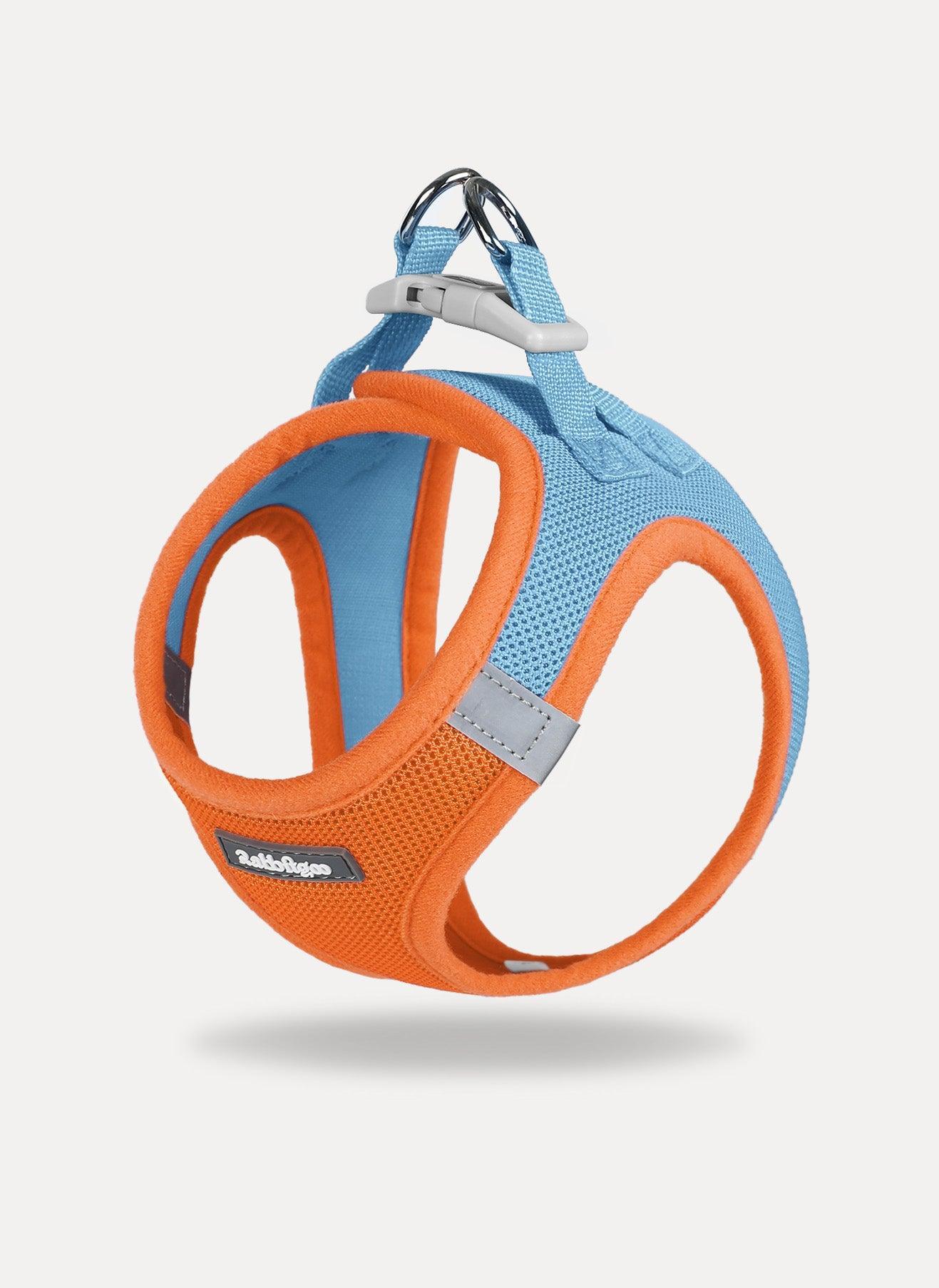 samll dog harness and leash set - Blue & Orange