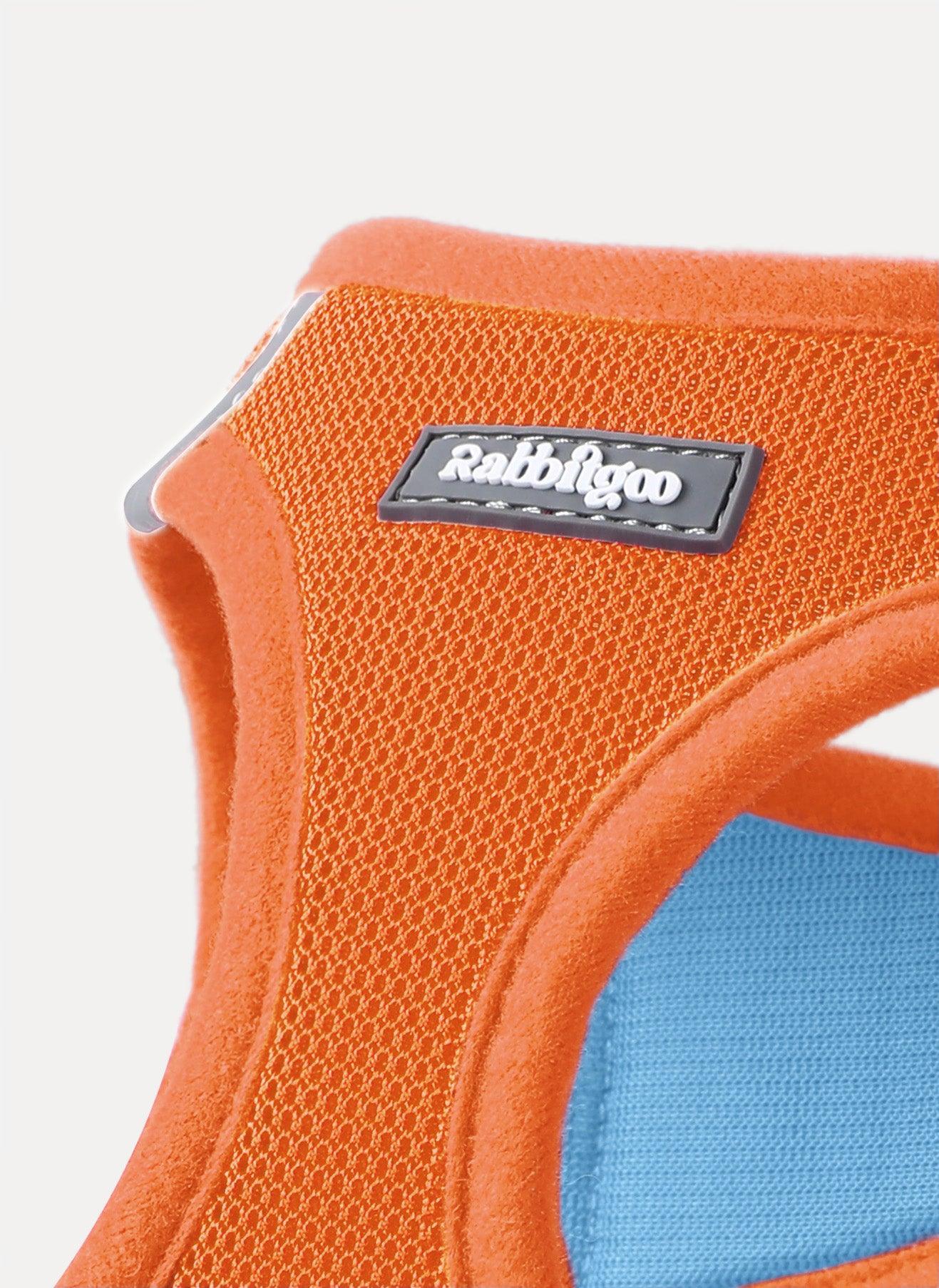 samll dog harness and leash set - Blue & Orange