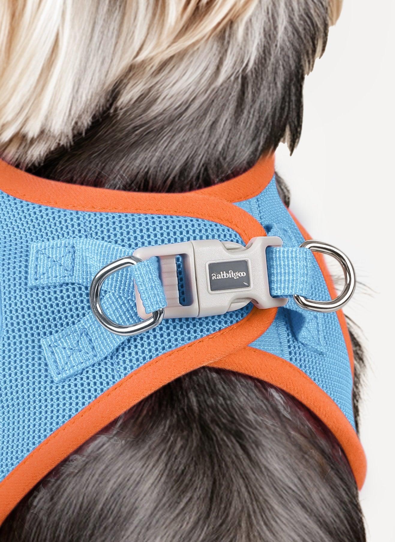 samll dog harness and leash set - Blue & Orange