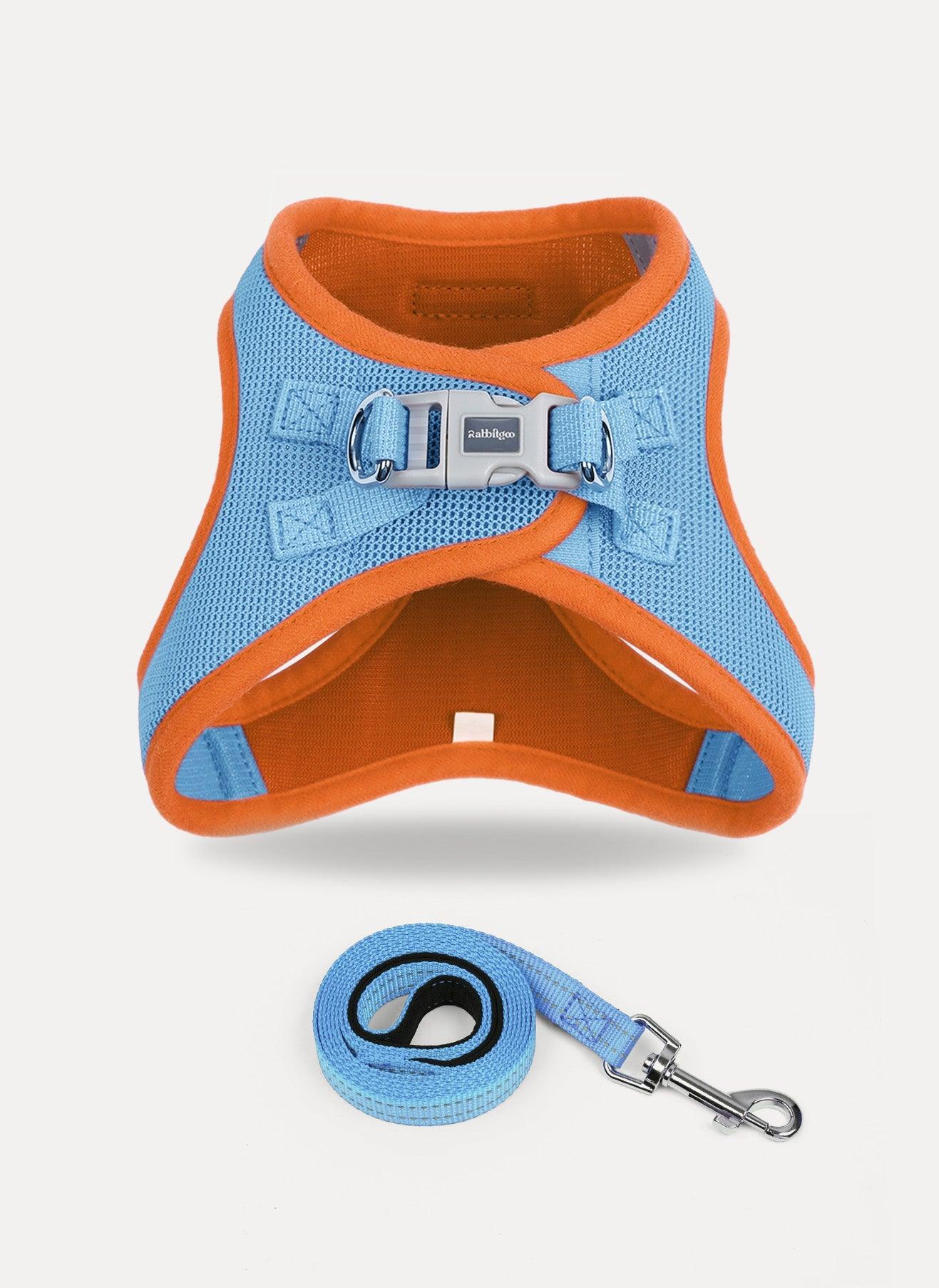 samll dog harness and leash set - Blue & Orange