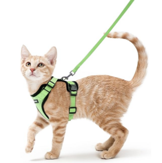 Rabbitgoo Adjustable Cat Harness and Leash Set - Test