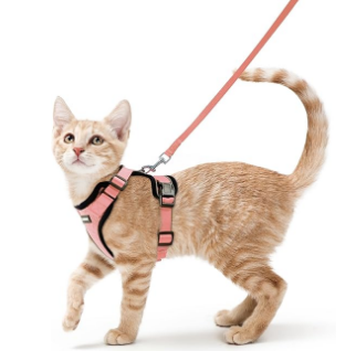 Rabbitgoo Adjustable Cat Harness and Leash Set - Test