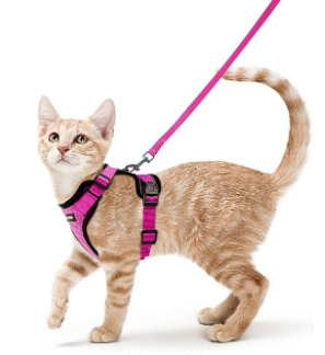Rabbitgoo Adjustable Cat Harness and Leash Set - Test