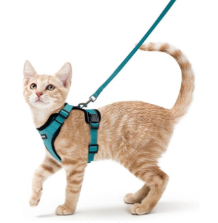 Rabbitgoo Adjustable Cat Harness and Leash Set - Test