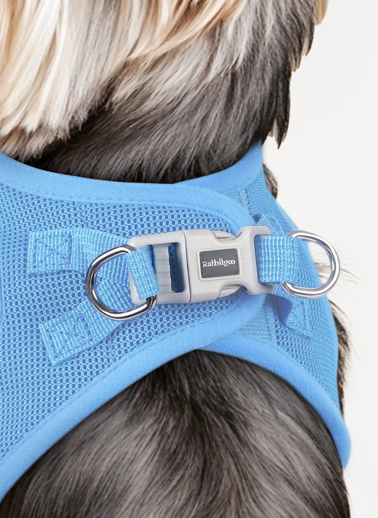 small dog harness - blue