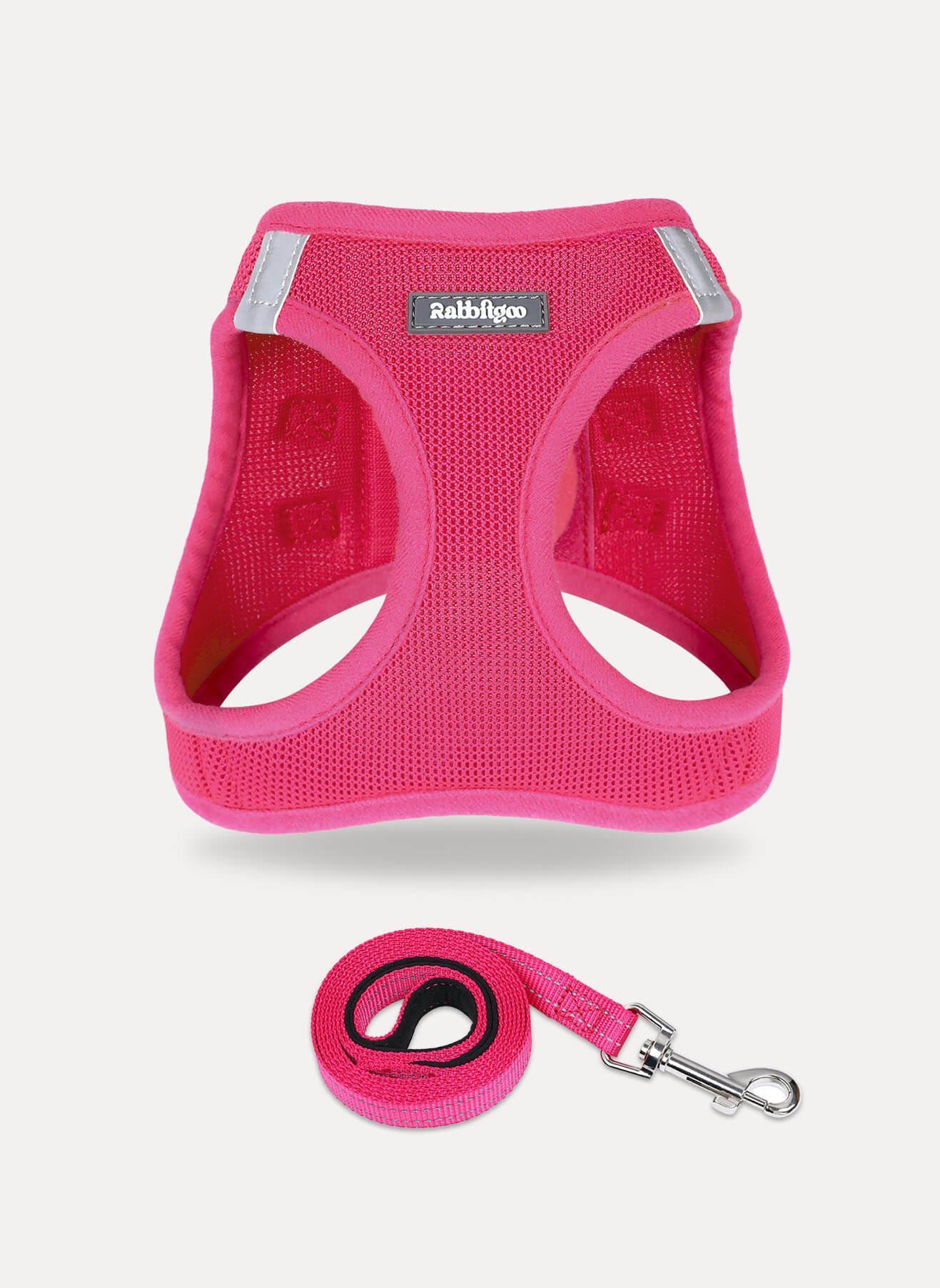 samll dog harness and leash set - Rose red