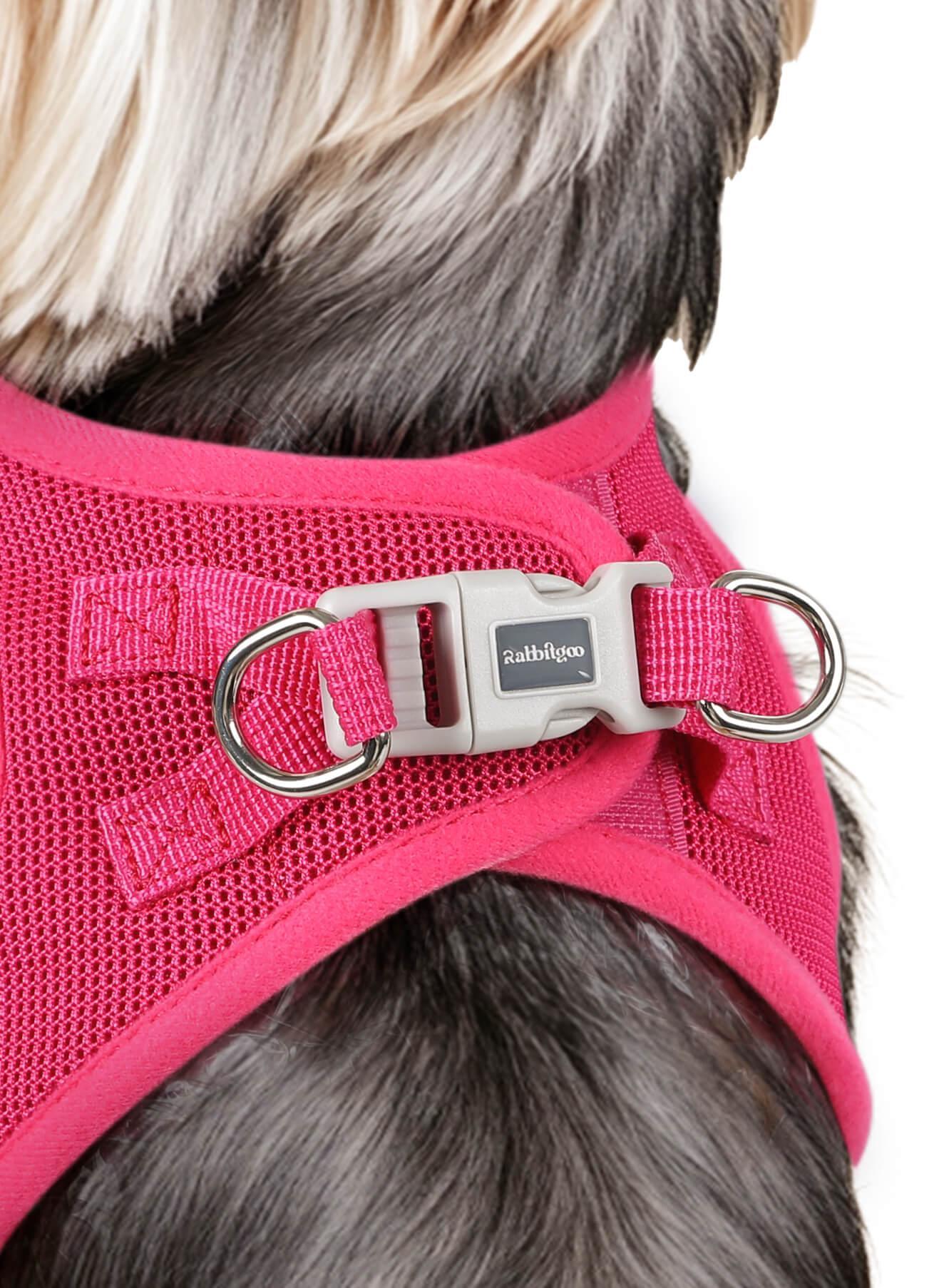 samll dog harness and leash set - Rose red