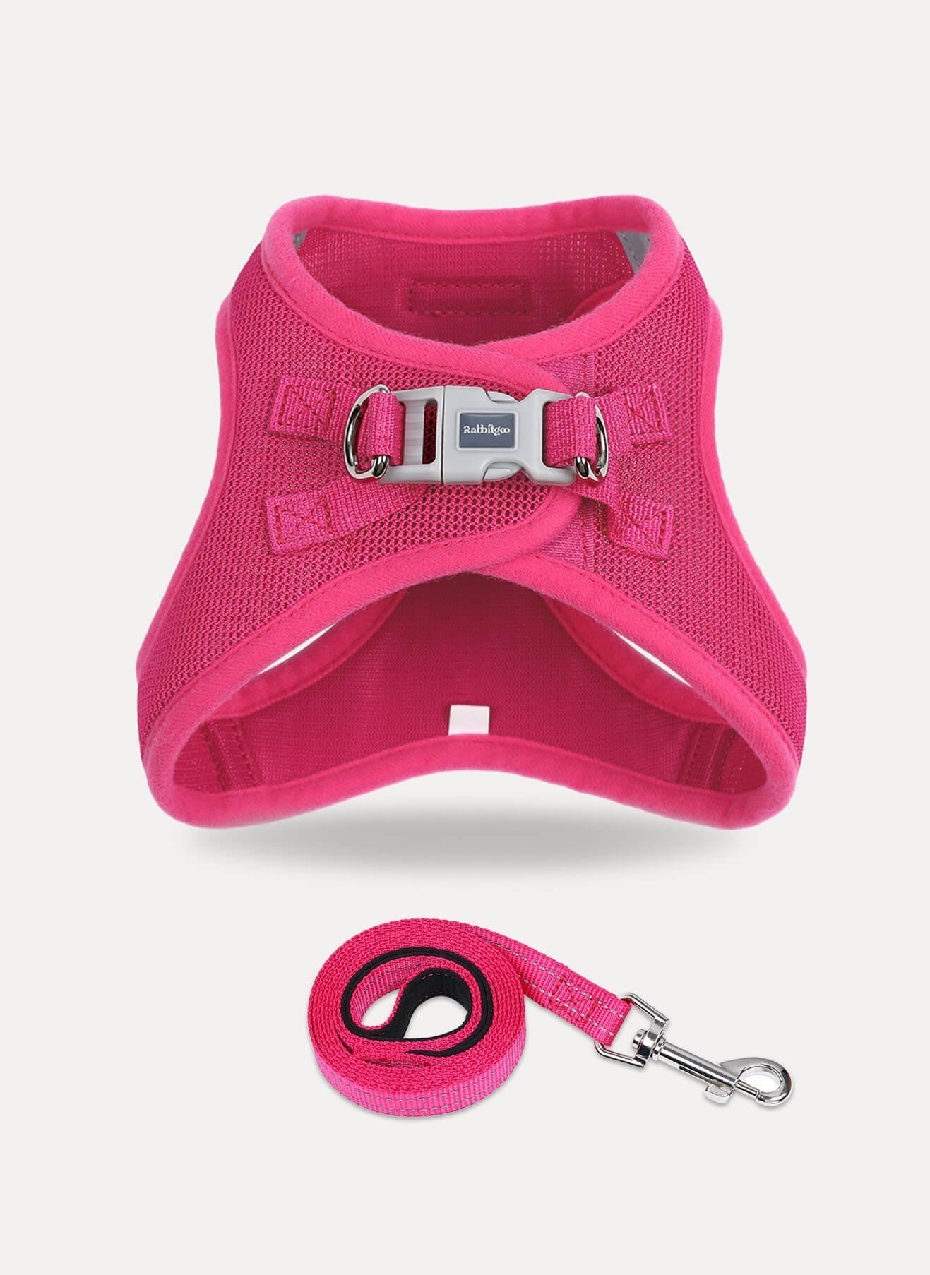 samll dog harness and leash set - Rose red