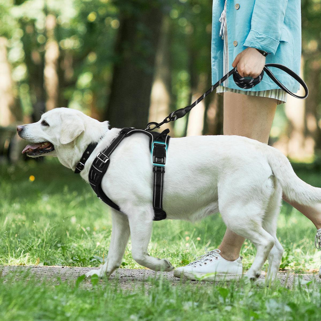 No Pull Dog Harness and Leash Set - Black / S