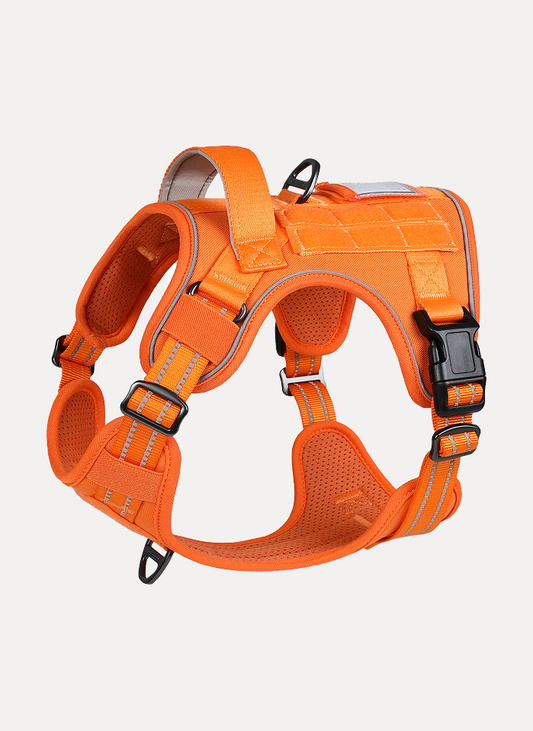 Colorful Escape Proof Tactical Dog Harness